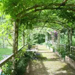 Pergola bioclimatica, come trovare il modello più adatto alle proprie esigenze